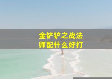 金铲铲之战法师配什么好打