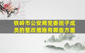 铁岭市公安局党委班子成员的整改措施有哪些方面