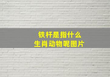 铁杆是指什么生肖动物呢图片