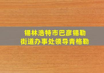 锡林浩特市巴彦锡勒街道办事处领导青格勒