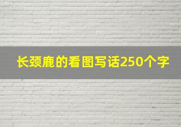 长颈鹿的看图写话250个字