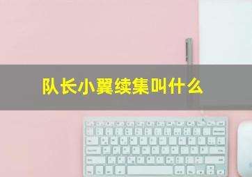 队长小翼续集叫什么