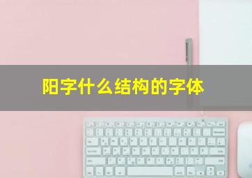 阳字什么结构的字体