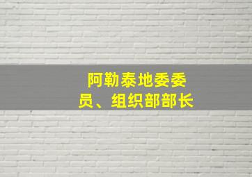 阿勒泰地委委员、组织部部长