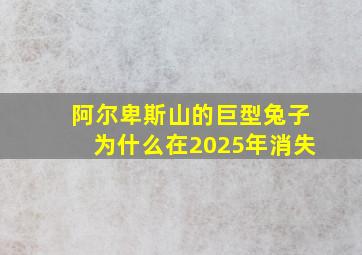 阿尔卑斯山的巨型兔子为什么在2025年消失