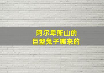 阿尔卑斯山的巨型兔子哪来的