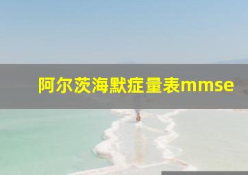 阿尔茨海默症量表mmse