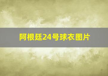 阿根廷24号球衣图片