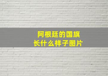 阿根廷的国旗长什么样子图片