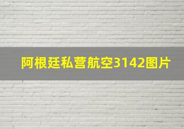 阿根廷私营航空3142图片