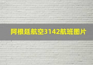 阿根廷航空3142航班图片