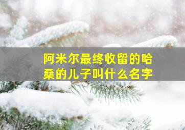 阿米尔最终收留的哈桑的儿子叫什么名字