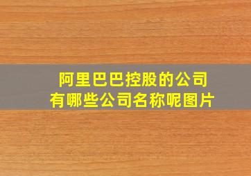 阿里巴巴控股的公司有哪些公司名称呢图片