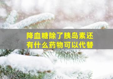 降血糖除了胰岛素还有什么药物可以代替