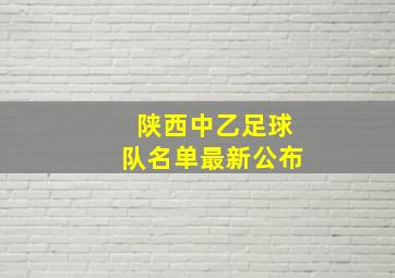 陕西中乙足球队名单最新公布