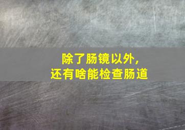 除了肠镜以外,还有啥能检查肠道