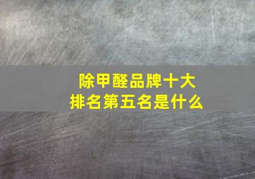 除甲醛品牌十大排名第五名是什么