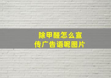 除甲醛怎么宣传广告语呢图片