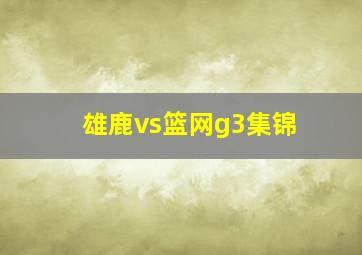 雄鹿vs篮网g3集锦