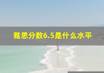 雅思分数6.5是什么水平