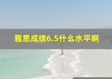 雅思成绩6.5什么水平啊