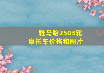 雅马哈2503轮摩托车价格和图片