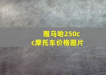 雅马哈250cc摩托车价格图片