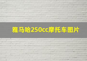 雅马哈250cc摩托车图片