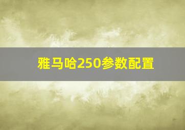 雅马哈250参数配置