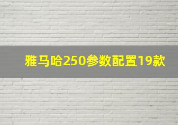 雅马哈250参数配置19款