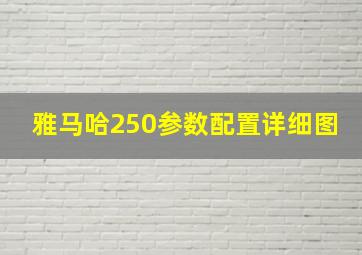 雅马哈250参数配置详细图