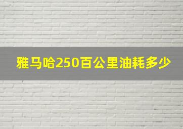 雅马哈250百公里油耗多少