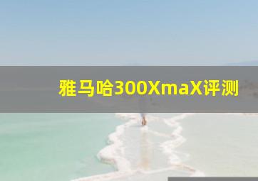 雅马哈300XmaX评测