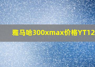 雅马哈300xmax价格YT125T-9