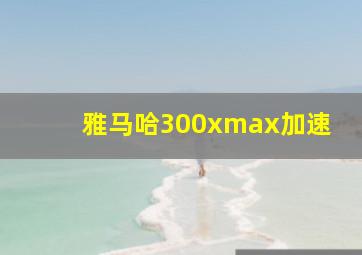 雅马哈300xmax加速