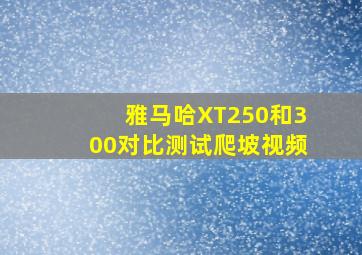 雅马哈XT250和300对比测试爬坡视频