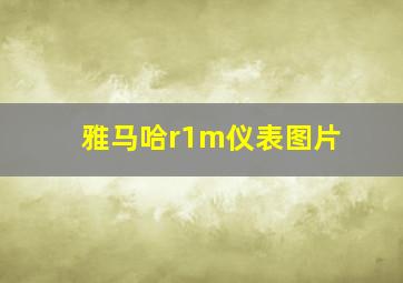 雅马哈r1m仪表图片