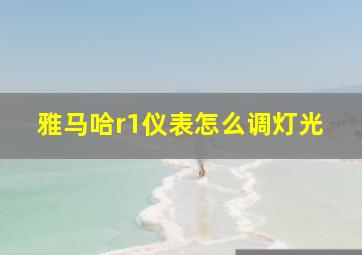 雅马哈r1仪表怎么调灯光