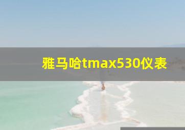 雅马哈tmax530仪表