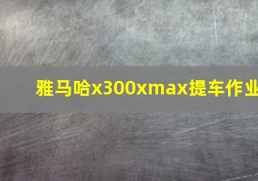 雅马哈x300xmax提车作业