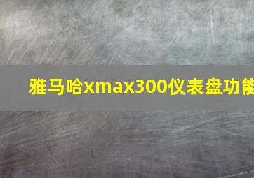 雅马哈xmax300仪表盘功能