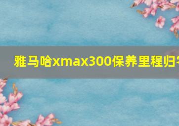 雅马哈xmax300保养里程归零