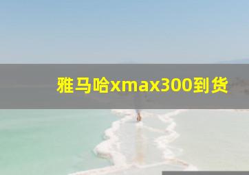 雅马哈xmax300到货