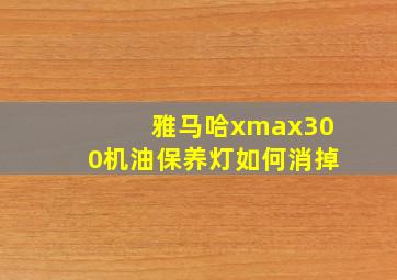 雅马哈xmax300机油保养灯如何消掉