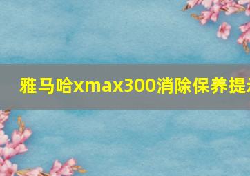 雅马哈xmax300消除保养提示