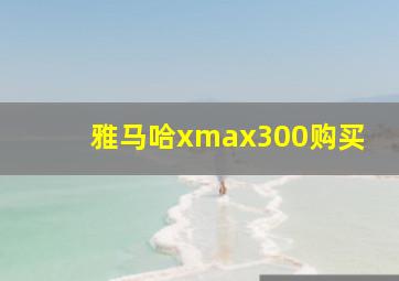 雅马哈xmax300购买