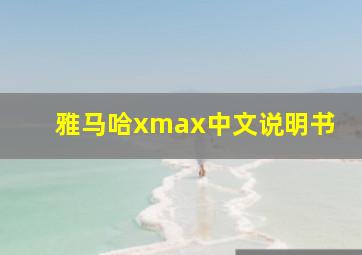 雅马哈xmax中文说明书