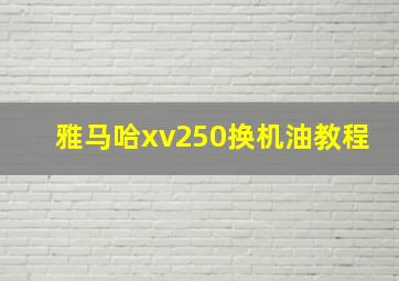 雅马哈xv250换机油教程