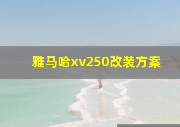 雅马哈xv250改装方案