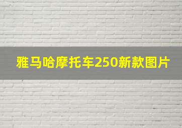 雅马哈摩托车250新款图片